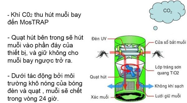 Cấu tạo đèn bắt muỗi và nguyên lý hoạt động