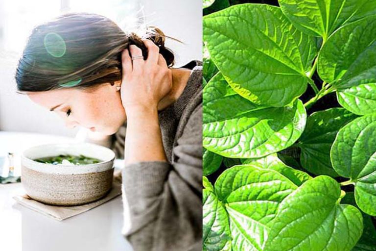 Xông mắt bằng lá trầu không