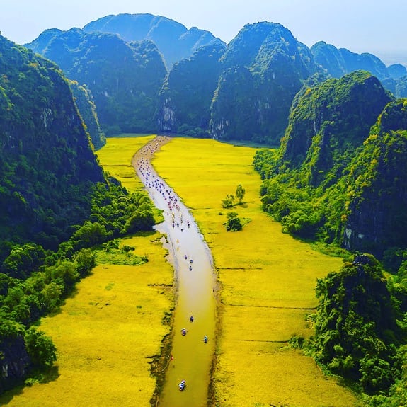 Ninh Bình mùa lúa chín