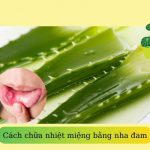 Bôi nha đam lên vết nhiệt miệng