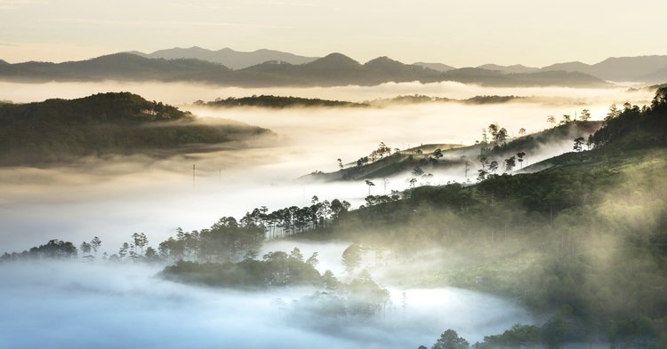 Đồi Thiên Phúc Đức